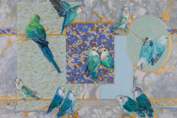 birds, mixed-media, artist