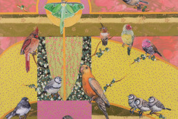 birds, moth, cardinal, chickadee, pinks, yellow, greens, gold, geometric, painting